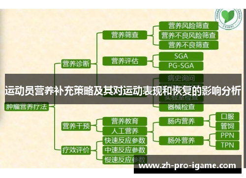 运动员营养补充策略及其对运动表现和恢复的影响分析