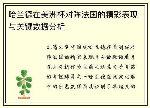哈兰德在美洲杯对阵法国的精彩表现与关键数据分析